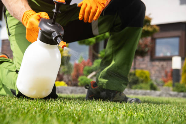 Best Pest Control Near Me in Weston, NJ