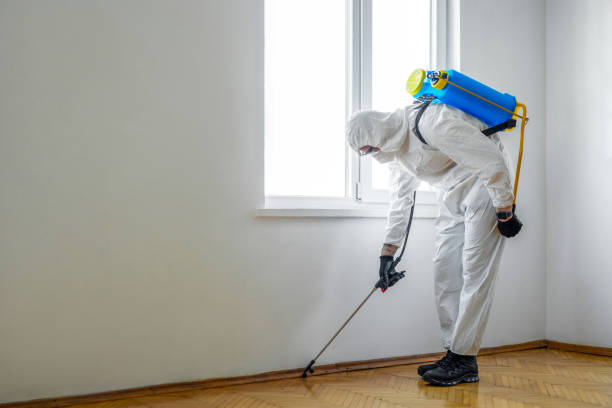 Best Flea Control Services  in Weston, NJ