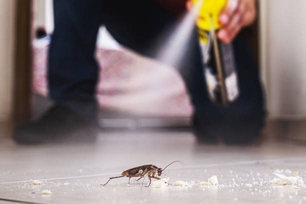Best Affordable Pest Control Services  in Weston, NJ