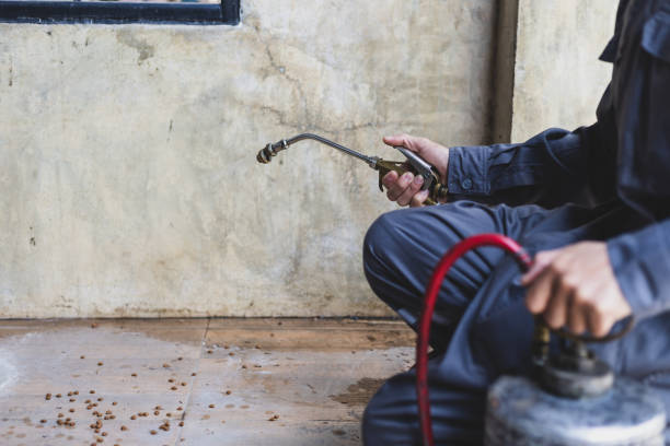 Best Pest Control Treatment  in Weston, NJ